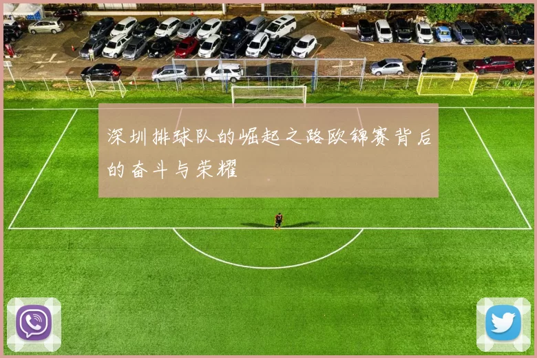 深圳排球队的崛起之路欧锦赛背后的奋斗与荣耀