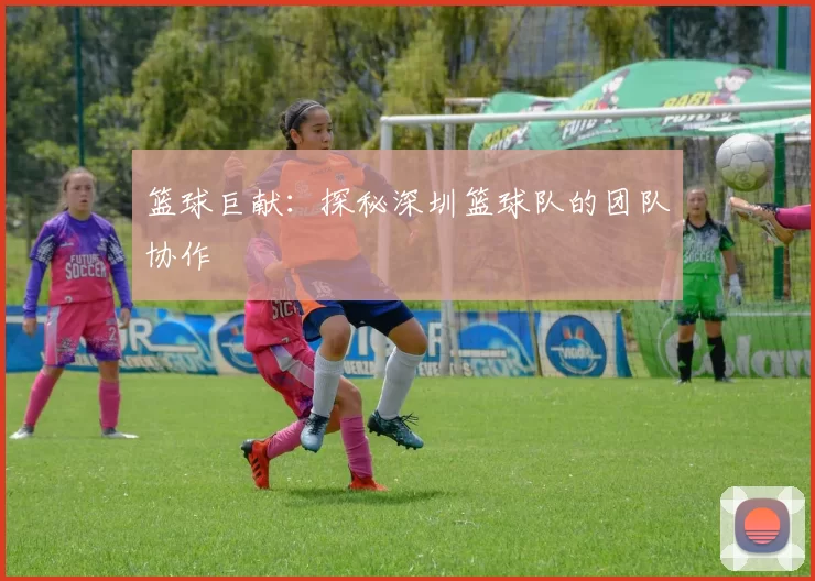 篮球巨献：探秘深圳篮球队的团队协作