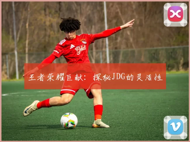 王者荣耀巨献：探秘JDG的灵活性