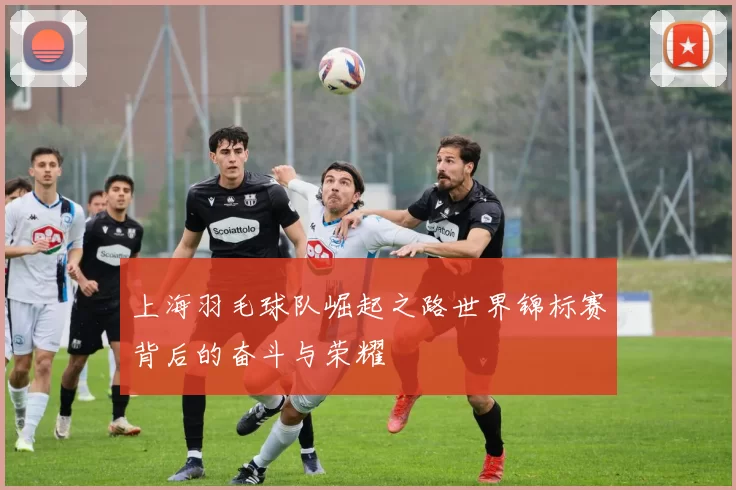 上海羽毛球队崛起之路世界锦标赛背后的奋斗与荣耀