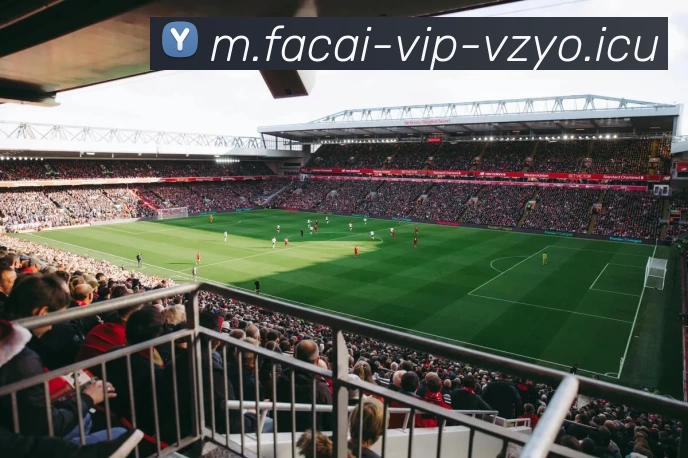 星空体育注册平台生态图